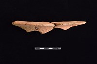 連杯形器藏品圖，第1張